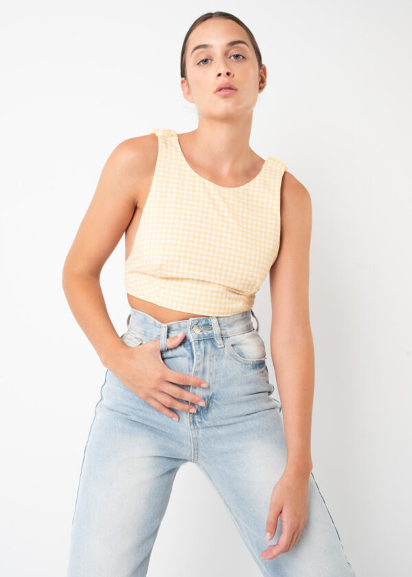 Top Cropped Cuadro Vichy